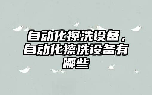 自動(dòng)化擦洗設(shè)備，自動(dòng)化擦洗設(shè)備有哪些